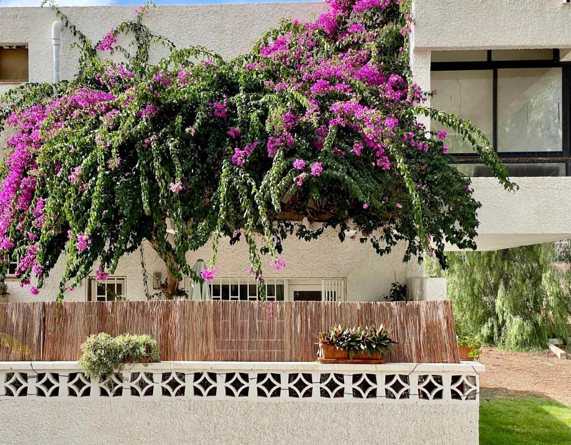 Casa Zoltan Apartman Costa Del Silencio Kültér fotó